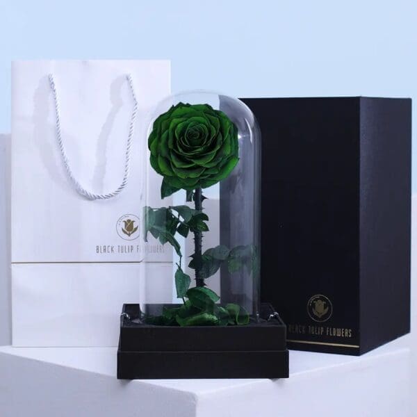 1 Preserved Green forever rose in glass dome