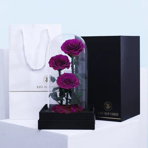 1 Trio of preserved Purple roses in dome