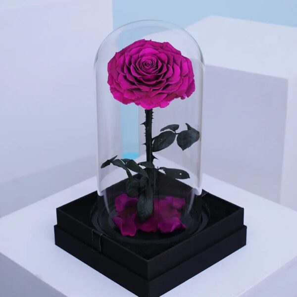Single Purple Forever Rose preserved roses in a clear dome