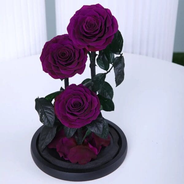 3 Trio of preserved Purple roses in dome