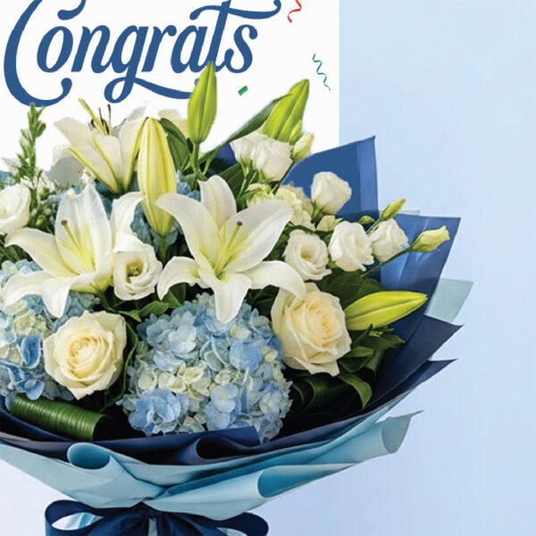 Congrats bouquet with lilies, white roses, blue hydrangeas, and blue wrapping with ribbon.