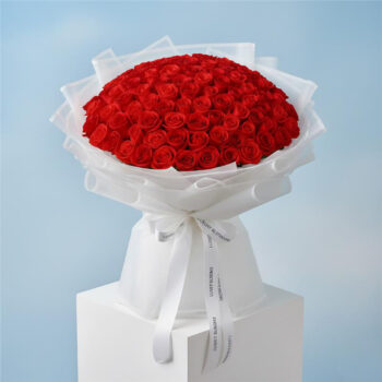 101 red roses bouquet in a elegant white wrap