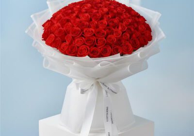 101 red roses bouquet in a elegant white wrap