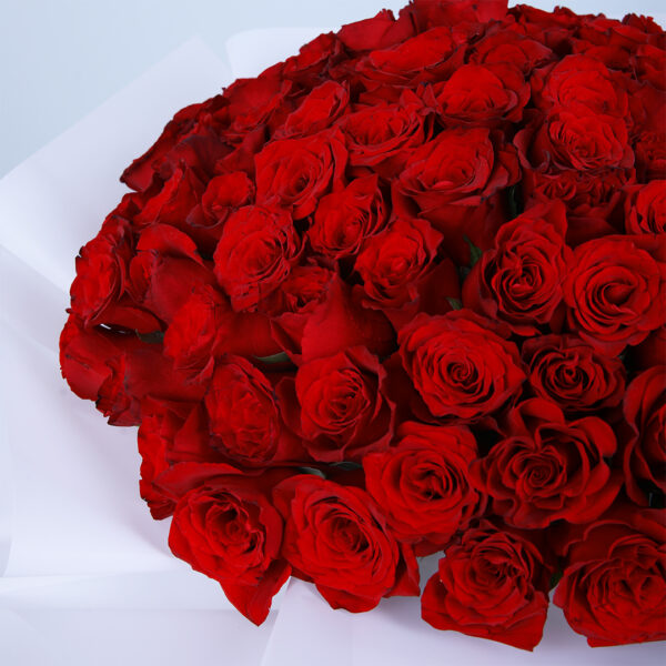 101-red-roses-bouquet._04