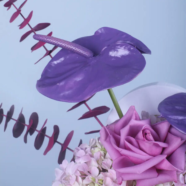 Hydrangea Anthurium Rose Flower Box_03