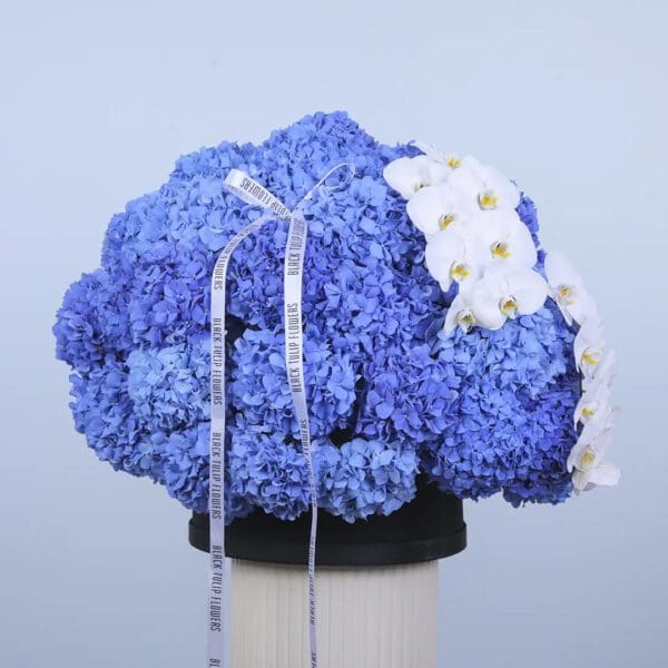 blue-hydrangea-white-orchid-box. Blue hydrangeas and white phalaenopsis orchids in a luxury black flower box arrangement