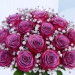 deep-purple-roses-in-glass-vase_04