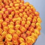 orange-roses-box-luxury_03