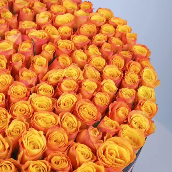 orange-roses-box-luxury_03
