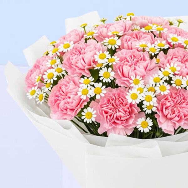 pink-carnation-tanacetum-bouquet_04