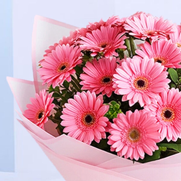 pink-gerbera-bouquet-souffle-cake-combo._03