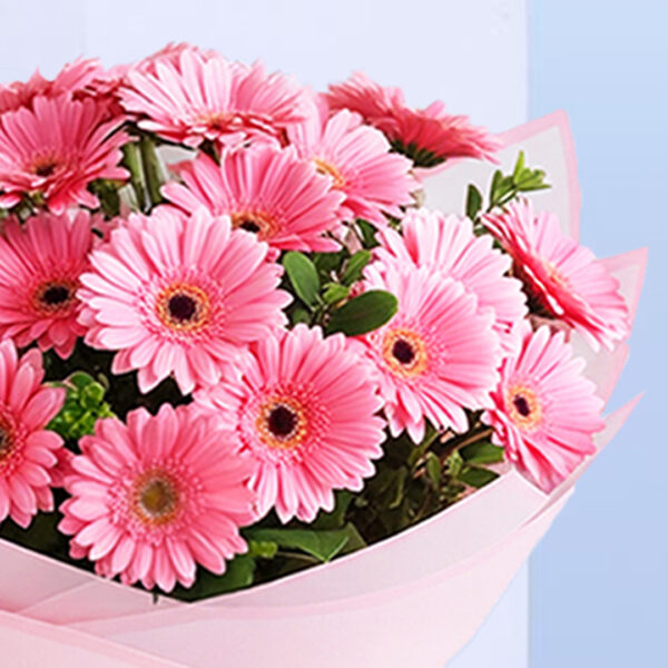 pink-gerbera-bouquet-souffle-cake-combo._04