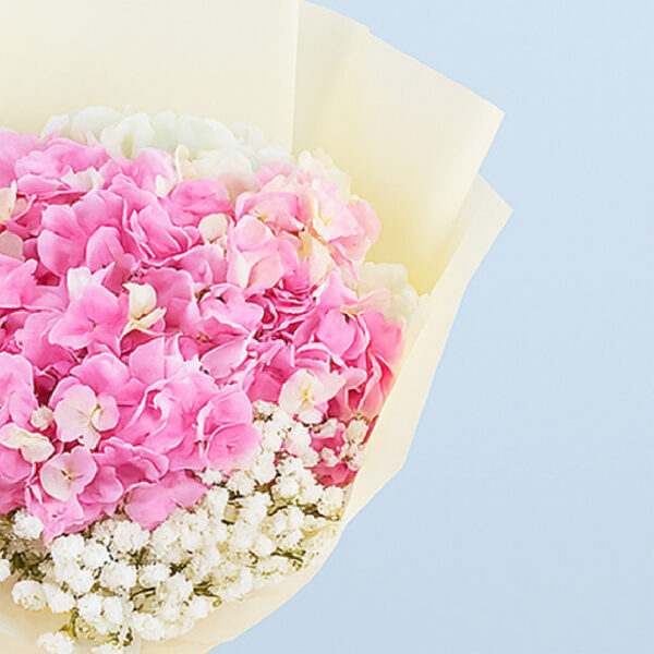 pink-hydrangea-strawberry-cake-combo_04