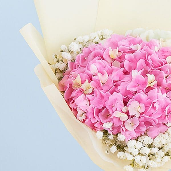 pink-hydrangea-strawberry-cake-combo_05