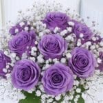 purple-roses-in-glass-vase_04