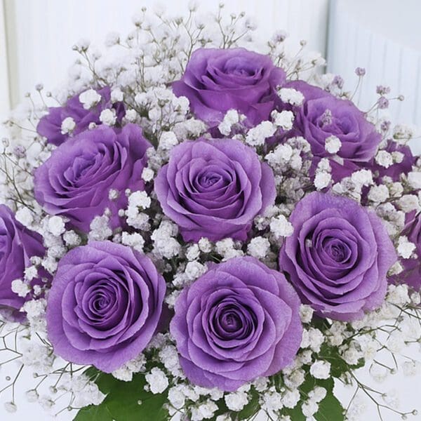 purple-roses-in-glass-vase_04