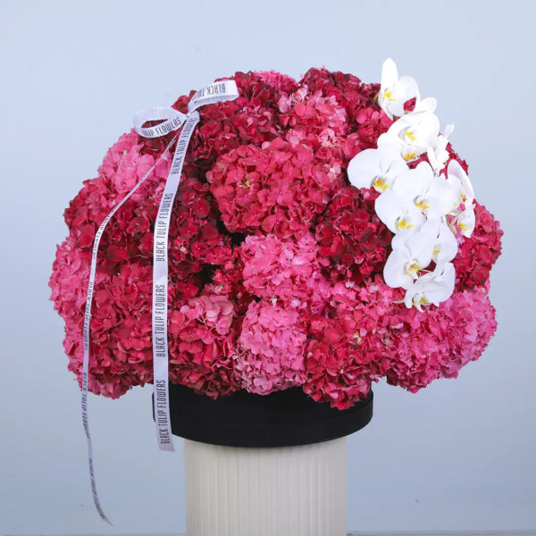 red-pink-hydrangea-orchid-box Red and pink hydrangeas with white orchid blooms in a luxury black flower box arrangement