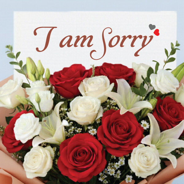 sorry-roses-bouquet_02