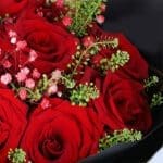 15-valentine-red-roses-black-wrap-bouquet_03