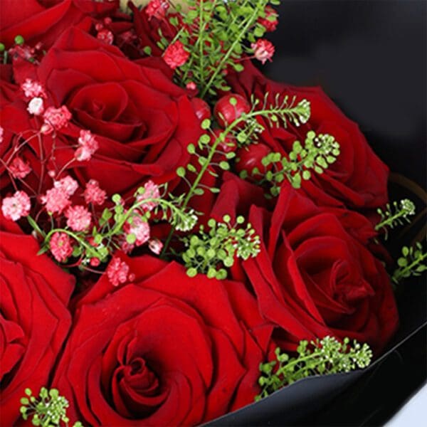 15-valentine-red-roses-black-wrap-bouquet_03