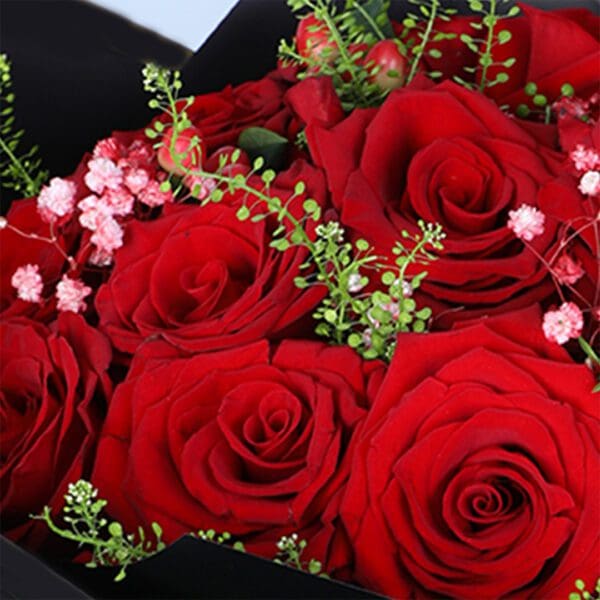 15-valentine-red-roses-black-wrap-bouquet_04