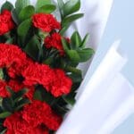 20-red-carnations-ruscus-bouquet_04