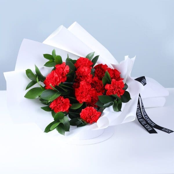 20-red-carnations-ruscus-love-teddy_03