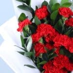 20-red-carnations-ruscus-love-teddy_05