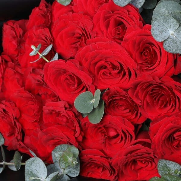 20-red-roses-eucalyptus-ferrero-rocher-combo_04