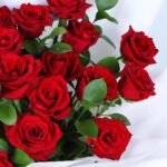 25-red- rose-bouquet_03