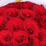 30-red-roses-bouquet-white-maroon-wrap-gold-edge_05