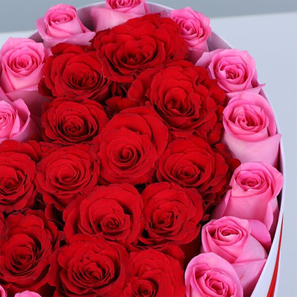 Heart-shape- with -red -and-pink -roses _04
