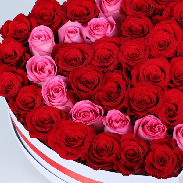 Heart-shape- with -red -and-pink -roses _05