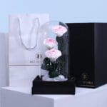 blush-rose-trio-dome