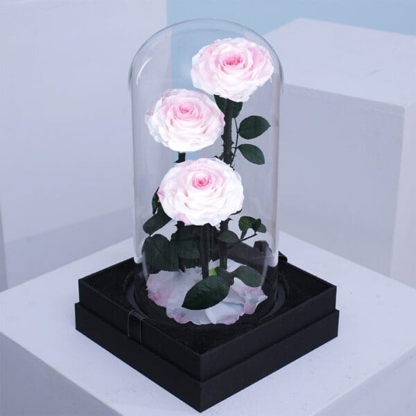blush-rose-trio-dome_03 Trio of blush preserved roses in a glass dome display, finished with decorative petals