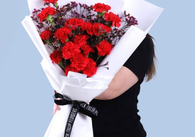20 red carnations and wax flowers in premium white wrap