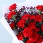 carnation-waxflower-romance-teddy_04