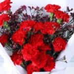 carnation-waxflower-romance_03