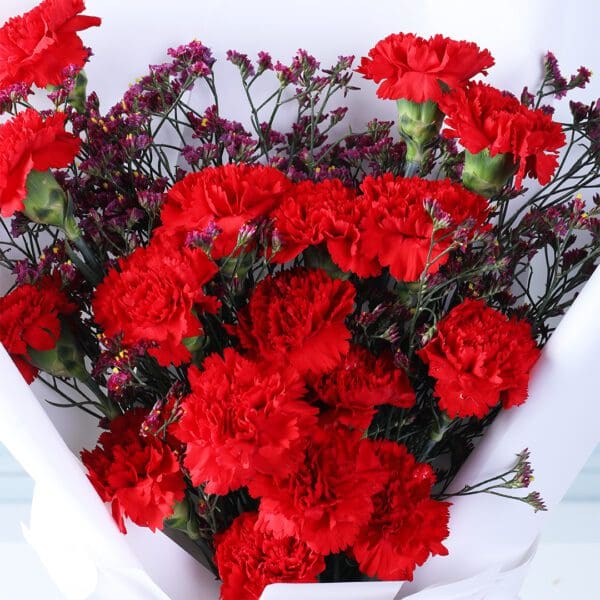 carnation-waxflower-romance_03