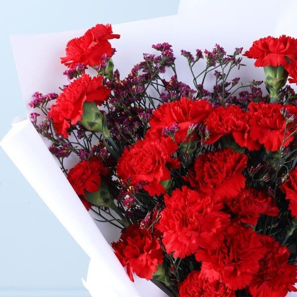 carnation-waxflower-romance_04