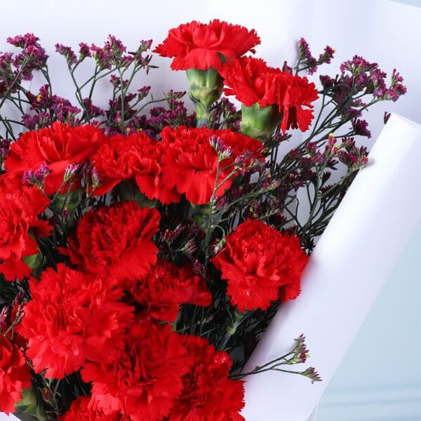 carnation-waxflower-romance_05