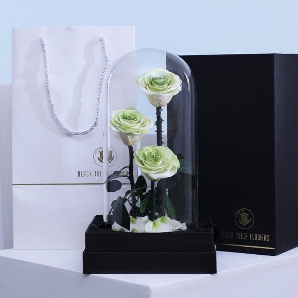 ivory-green-rose-trio-dome.