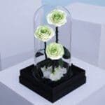 ivory-green-rose-trio-dome_02