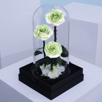 Trio of ivory green preserved roses in a glass dome display, finished with decorative petals