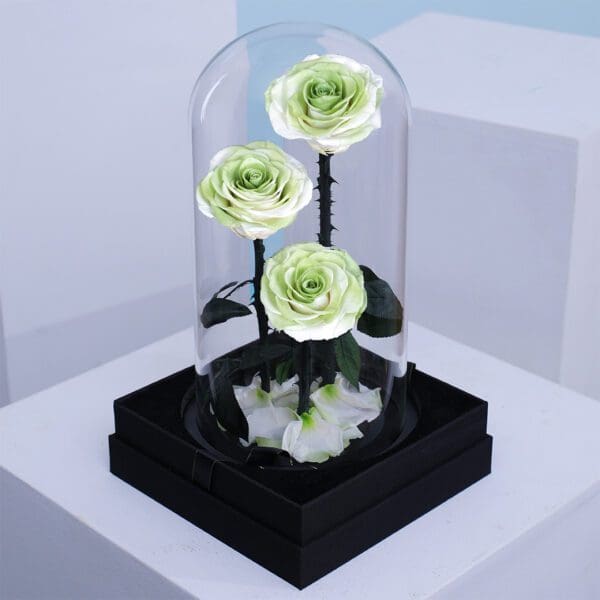 ivory-green-rose-trio-dome_02 Trio of ivory green preserved roses in a glass dome display, finished with decorative petals