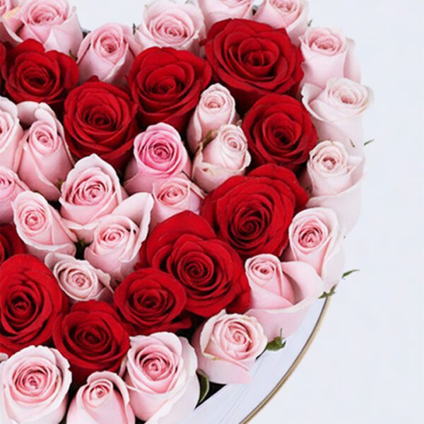 light-pink-red-roses-heart-box-valentine-edition_04