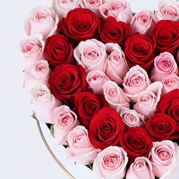 light-pink-red-roses-heart-box-valentine-edition_05