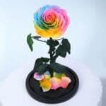 rainbow-forever-rose-dome_03