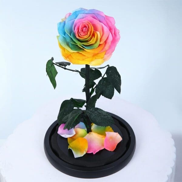 rainbow-forever-rose-dome_03