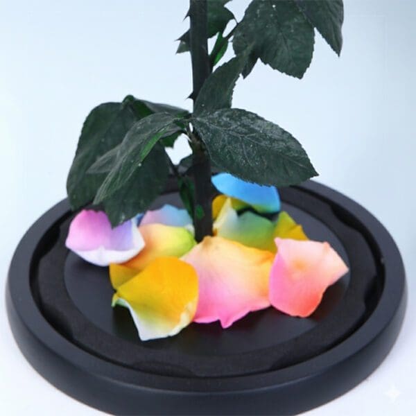 rainbow-forever-rose-dome_05